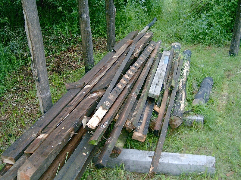 20100601 011.jpg